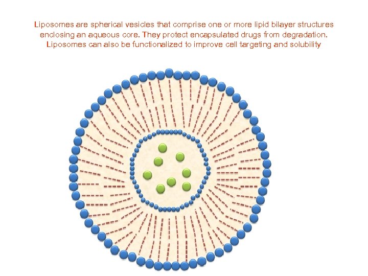 Liposomes are spherical vesicles that comprise one or more lipid bilayer structures enclosing an