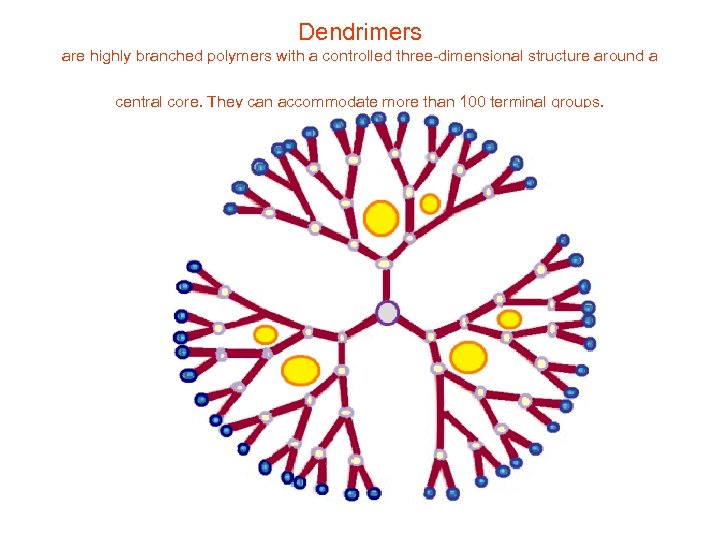 Dendrimers are highly branched polymers with a controlled three-dimensional structure around a central core.
