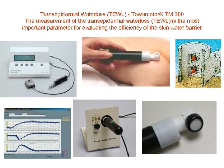 Transepidermal Waterloss (TEWL) - Tewameter® TM 300 The measurement of the transepidermal waterloss (TEWL)