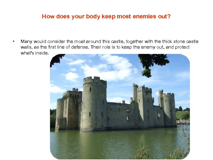 How does your body keep most enemies out? • Many would consider the moat
