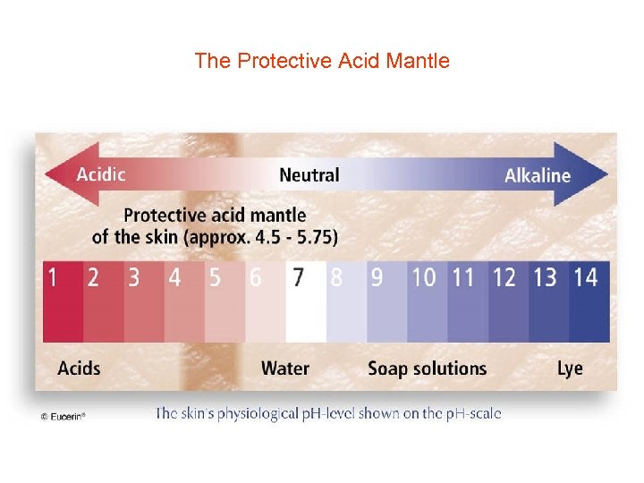 The Protective Acid Mantle 