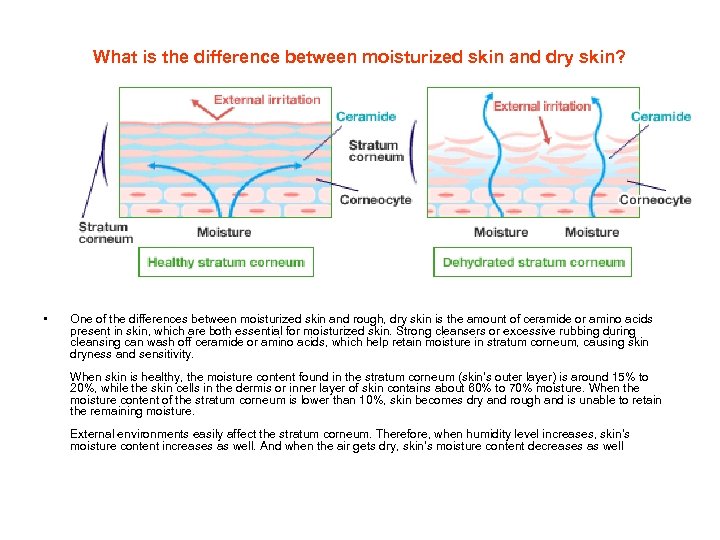 What is the difference between moisturized skin and dry skin? • One of the