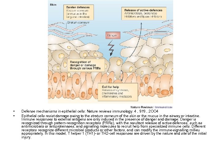  • • Defense mechanisms in epithelial cells: Nature reviews immunology: 4 , 978