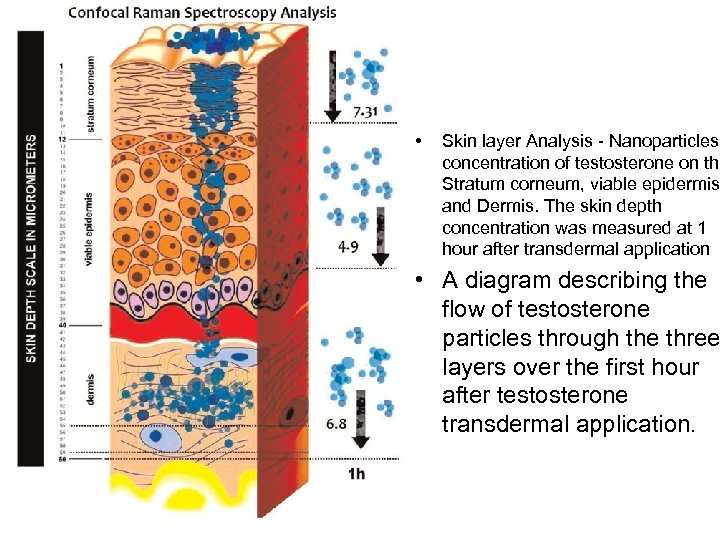  • Skin layer Analysis - Nanoparticles concentration of testosterone on the Stratum corneum,