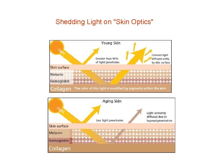 Shedding Light on "Skin Optics" 