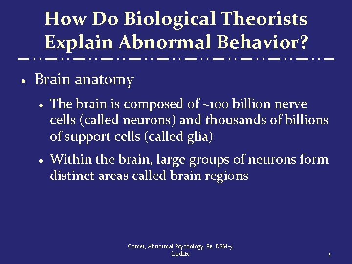 How Do Biological Theorists Explain Abnormal Behavior? · Brain anatomy · The brain is