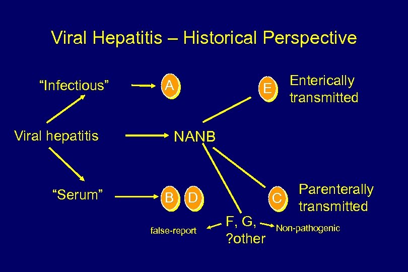 Viral Hepatitis – Historical Perspective “Infectious” Viral hepatitis “Serum” A Enterically transmitted E NANB