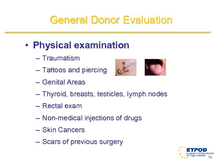 General Donor Evaluation • Physical examination – Traumatism – Tattoos and piercing – Genital