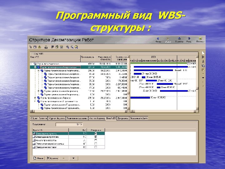 Программный вид WBSструктуры : 