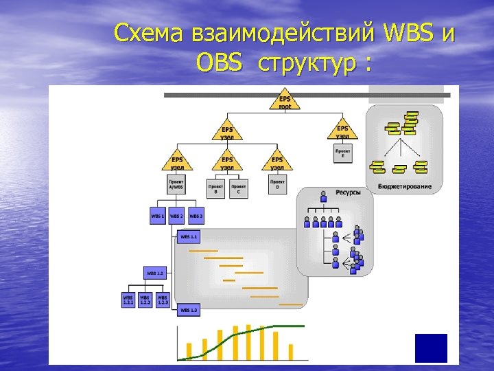 Организационная структура проекта obs это