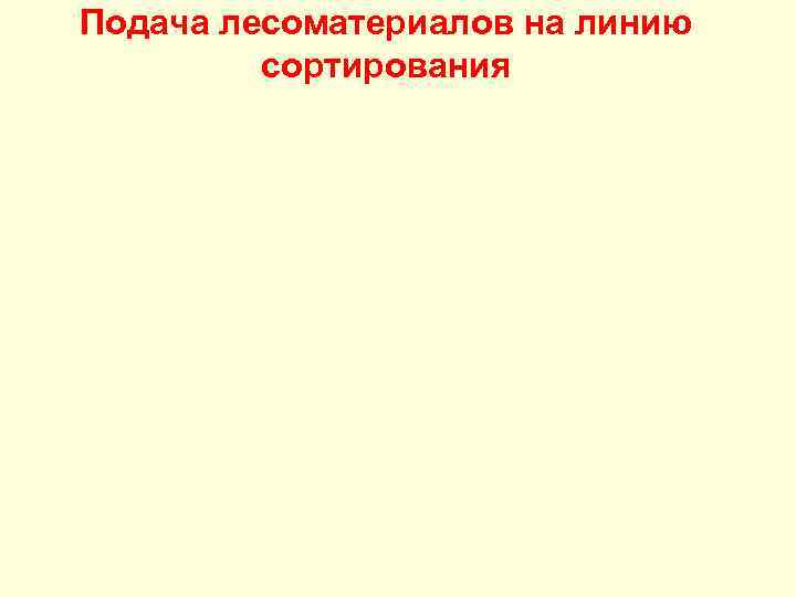 Подача лесоматериалов на линию сортирования 