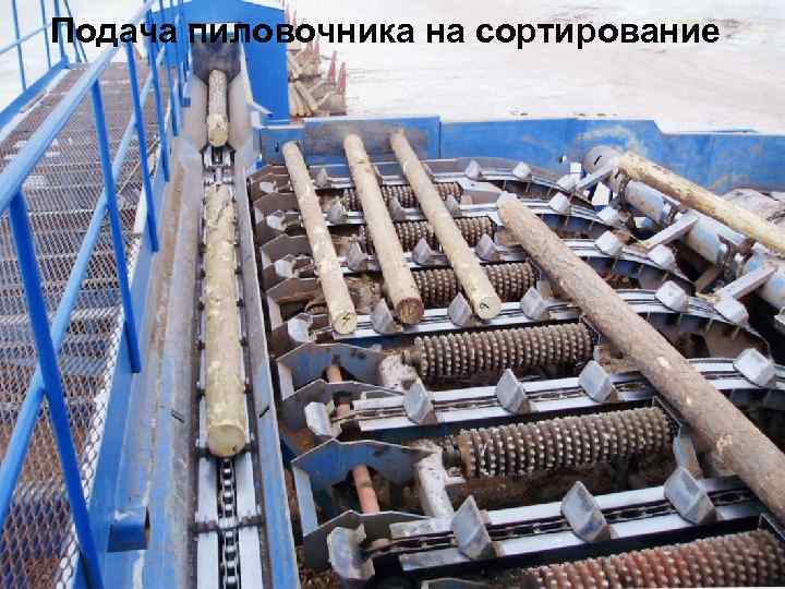 Подача пиловочника на сортирование 