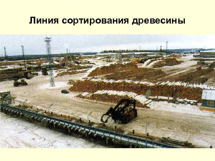 Линия сортирования древесины 