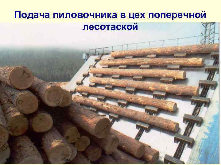 Подача пиловочника в цех поперечной лесотаской 