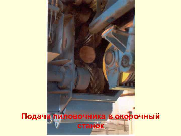 Подача пиловочника в окорочный станок 