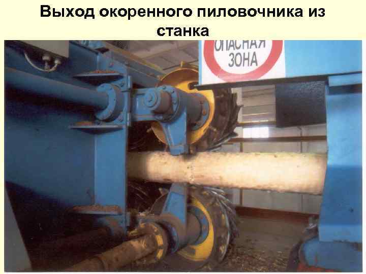 Выход окоренного пиловочника из станка 