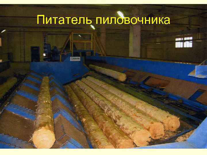 Питатель пиловочника 