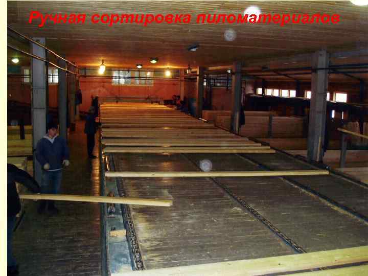 Ручная сортировка пиломатериалов 