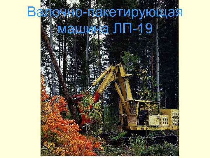 Валочно-пакетирующая машина ЛП-19 