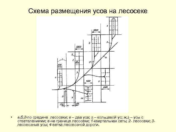 План отвода лесосеки