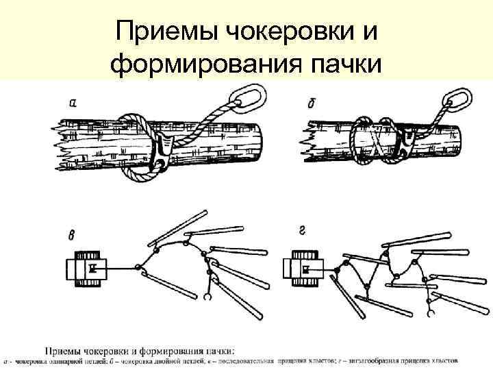 Схема лесопромышленного комплекса