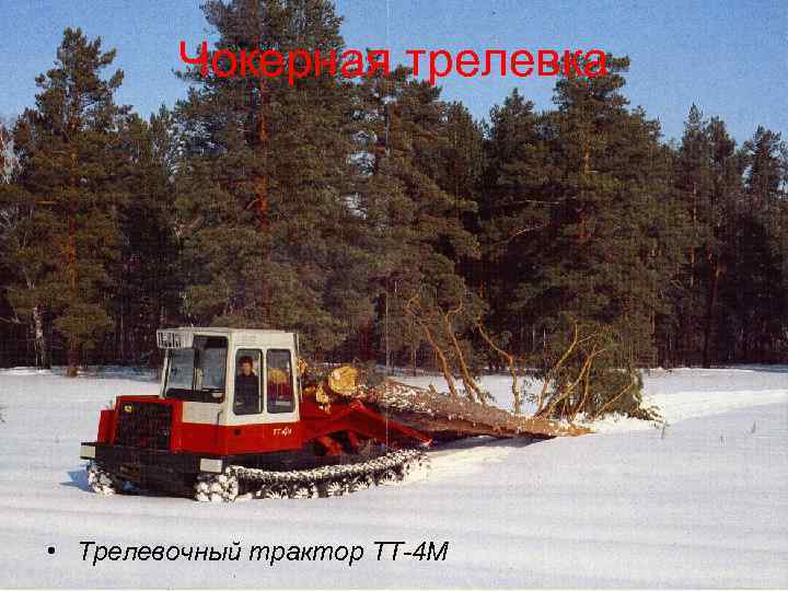 Чокерная трелевка • Трелевочный трактор ТТ-4 М 