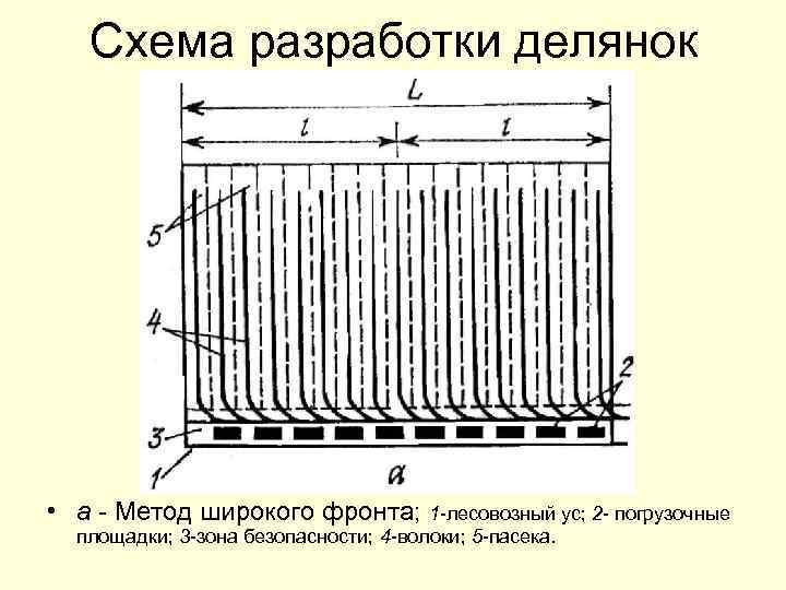 Схема нижнего склада лесозаготовительного производства