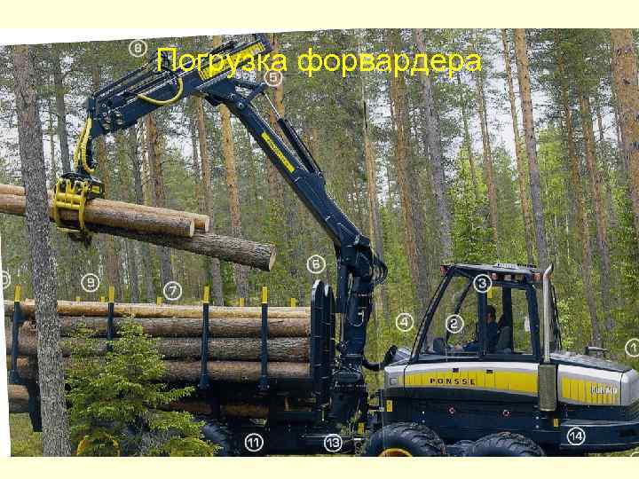 Погрузка форвардера 