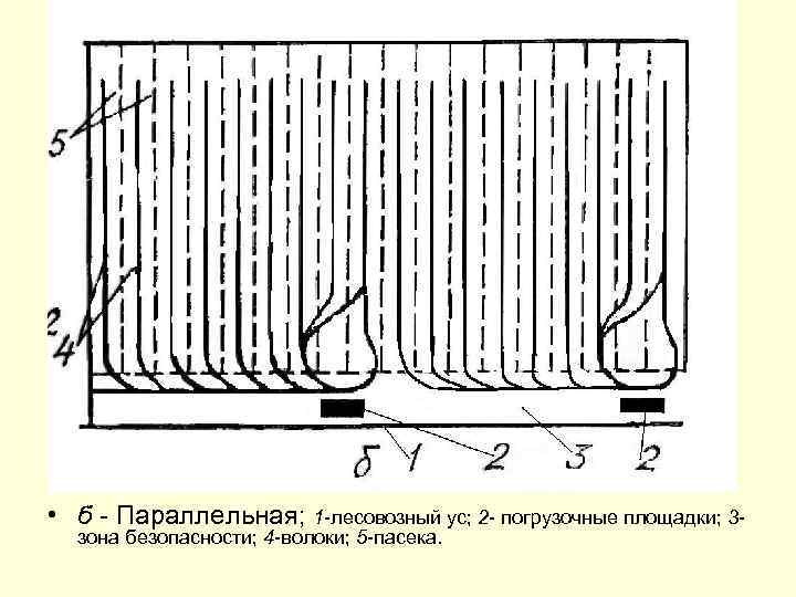 Схема нижнего склада лесозаготовительного производства