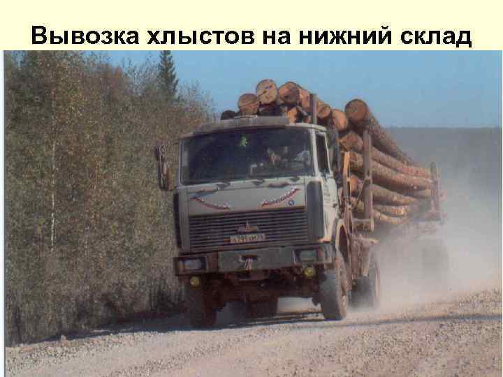 Вывозка хлыстов на нижний склад 