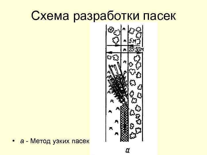 Схема разработки пасеки