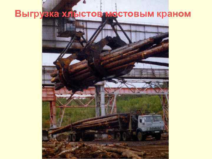 Выгрузка хлыстов мостовым краном 