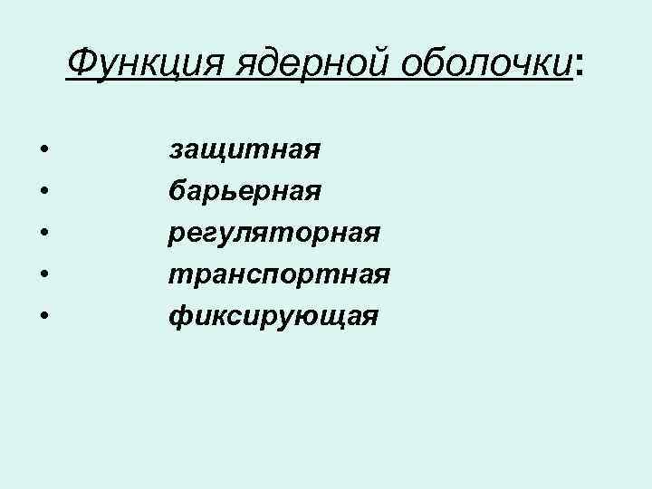 Функции оболочки. Ядерная оболочка функции. Функции оболочки ядра. Ядерная мембрана функции. Функция ядренной оболочки.