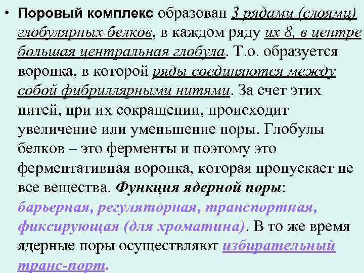  • Поровый комплекс образован 3 рядами (слоями) глобулярных белков, в каждом ряду их