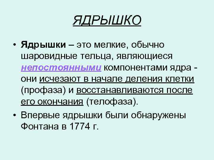 ЯДРЫШКО • Ядрышки – это мелкие, обычно шаровидные тельца, являющиеся непостоянными компонентами ядра они