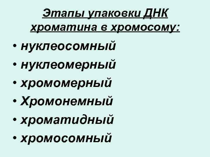 Этапы упаковки ДНК хроматина в хромосому: • нуклеосомный • нуклеомерный • хромомерный • Хромонемный