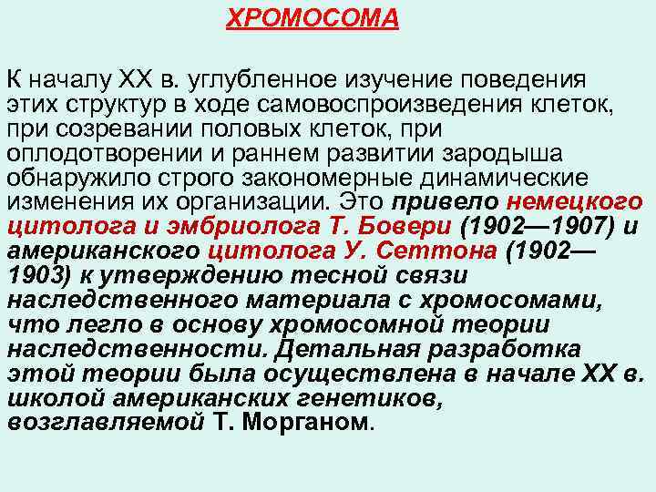  ХРОМОСОМА К началу XX в. углубленное изучение поведения этих структур в ходе самовоспроизведения