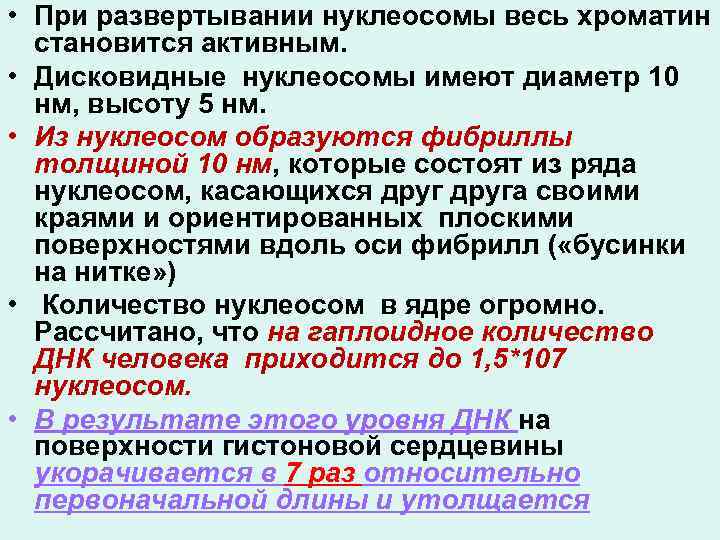  • При развертывании нуклеосомы весь хроматин становится активным. • Дисковидные нуклеосомы имеют диаметр