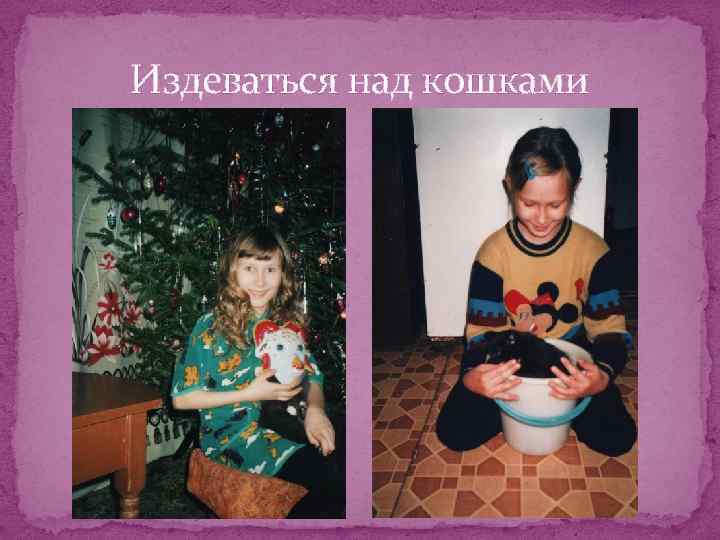 Издеваться над кошками 