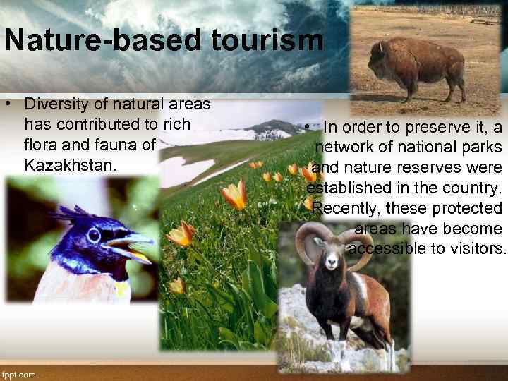 Nature-based tourism • Diversity of natural areas has contributed to rich flora and fauna