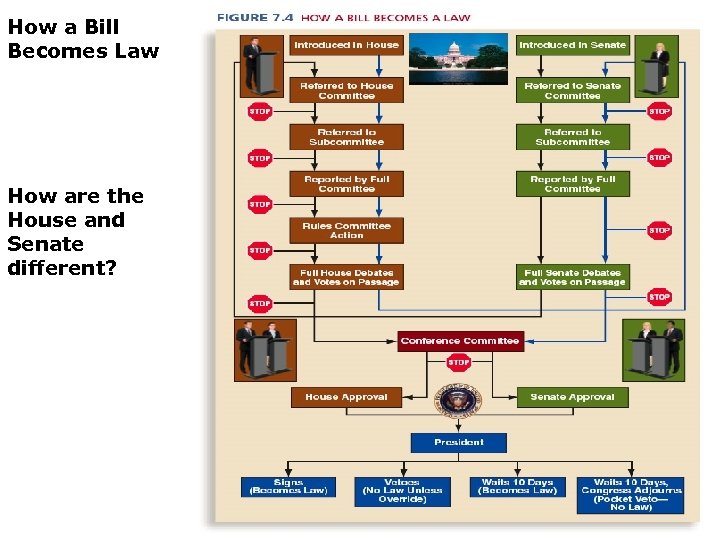 How a Bill Becomes Law How are the House and Senate different? 