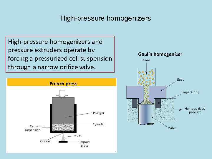 High-pressure homogenizers and pressure extruders operate by forcing a pressurized cell suspension through a