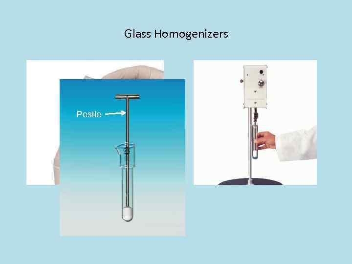 Glass Homogenizers Pestle 