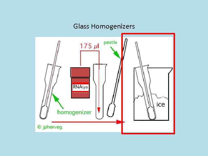 Glass Homogenizers 