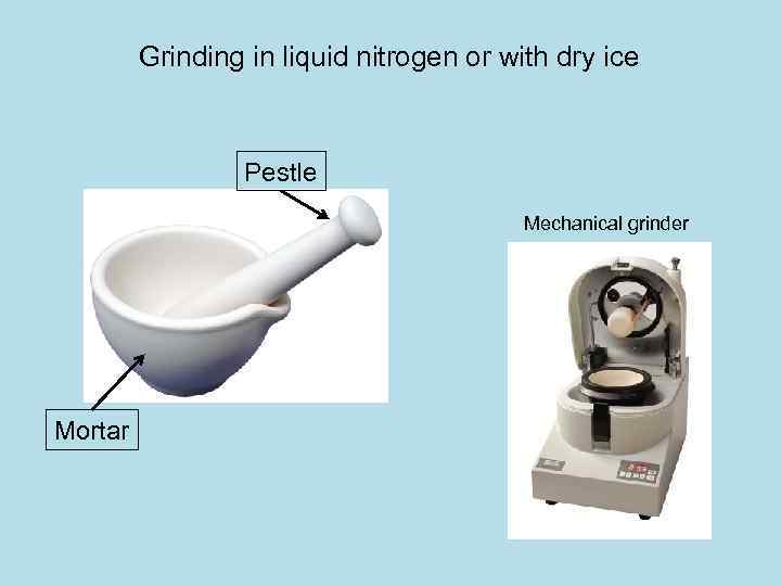 Grinding in liquid nitrogen or with dry ice Pestle Mechanical grinder Mortar 