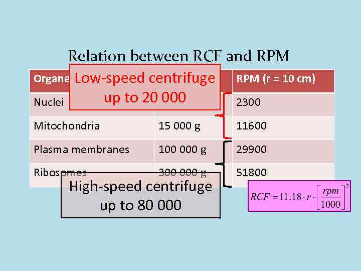 Relation between RCF and RPM Organelle RCF Low-speed centrifuge RPM (r = 10 cm)