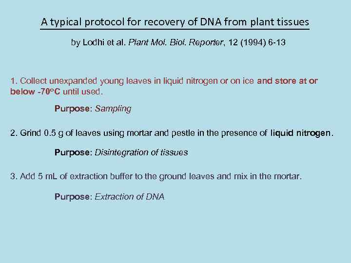 A typical protocol for recovery of DNA from plant tissues by Lodhi et al.