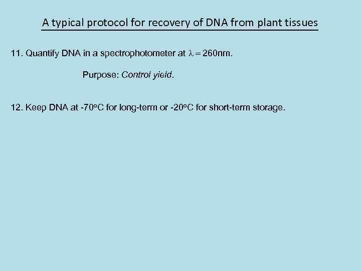 A typical protocol for recovery of DNA from plant tissues 11. Quantify DNA in