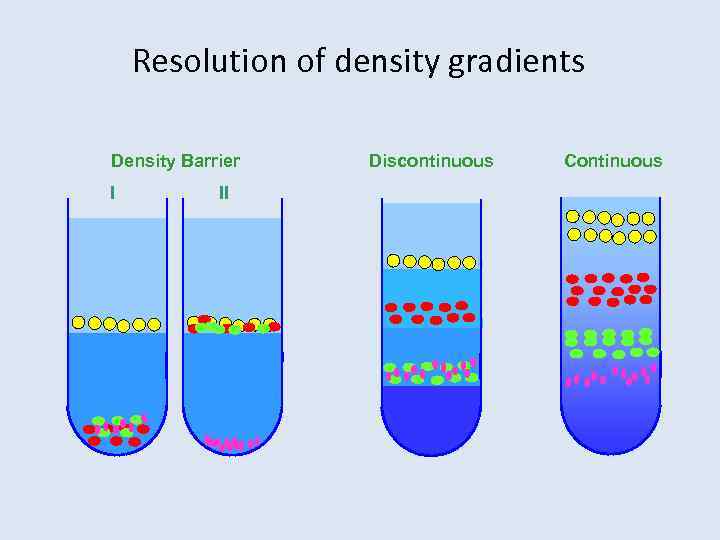 Resolution of density gradients Density Barrier I II Discontinuous Continuous 