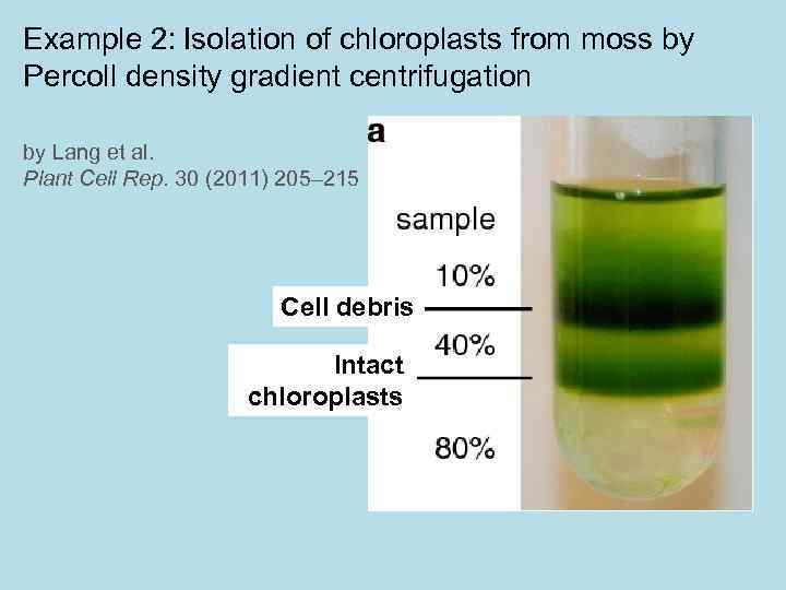 Example 2: Isolation of chloroplasts from moss by Percoll density gradient centrifugation by Lang